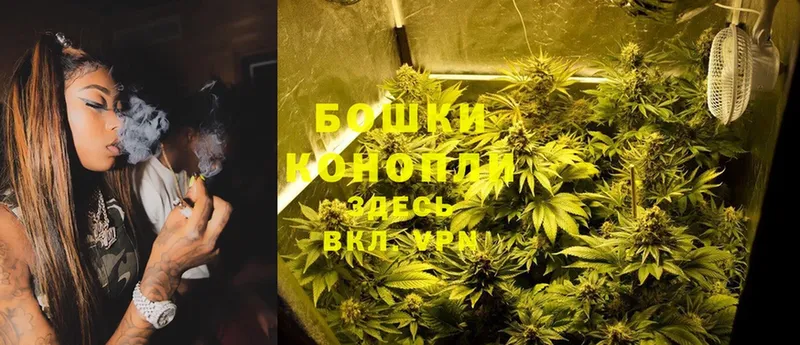 Каннабис OG Kush  Дальнегорск 